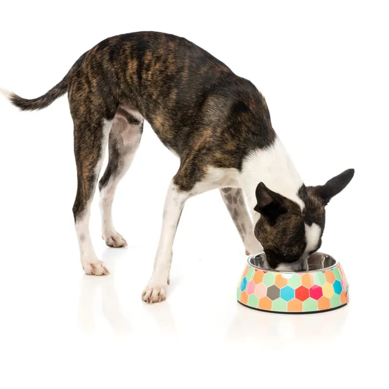 [15% OFF] Fuzzyard Bowl The Hive Dog Easy Feeder Bowl (3 Sizes)
