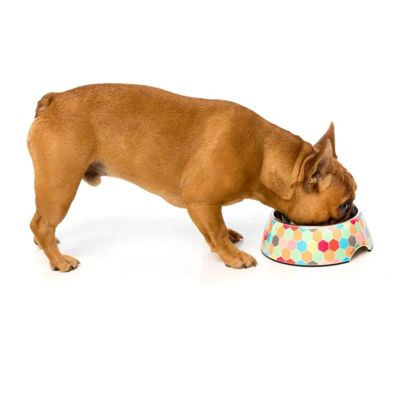 [15% OFF] Fuzzyard Bowl The Hive Dog Easy Feeder Bowl (3 Sizes)