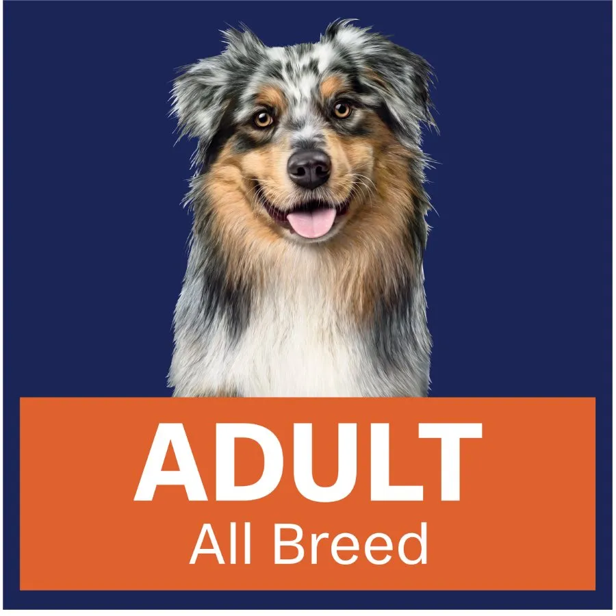 Advance Dog Adult Casserole With Chicken