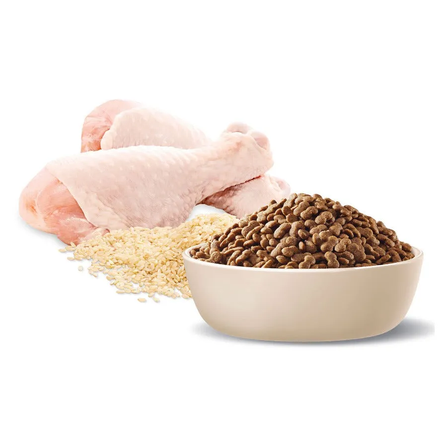 Advance Dog Chicken And Rice Small Breed