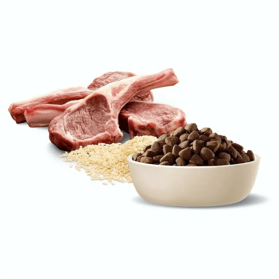 Advance Medium Breed Lamb And Rice Dry Dog Food 20kg