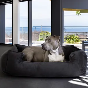 Ali Jewel Ortho Lounger® Companion-Pedic® Luxury Dog Bed
