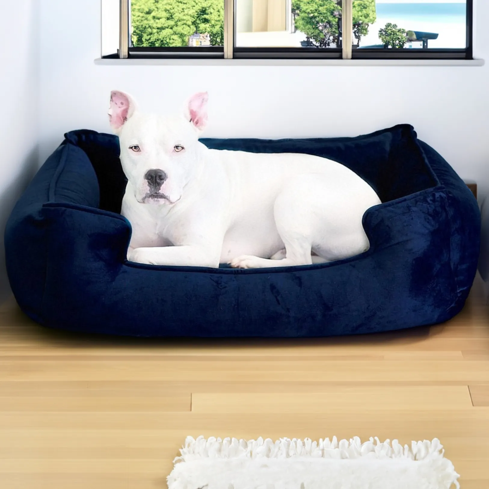 Ali Jewel Ortho Lounger® Companion-Pedic® Luxury Dog Bed