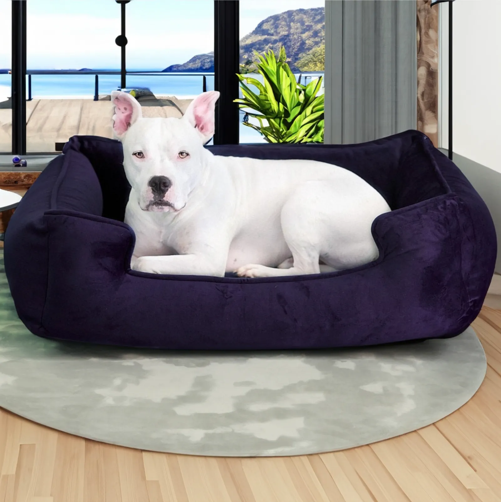 Ali Jewel Ortho Lounger® Companion-Pedic® Luxury Dog Bed