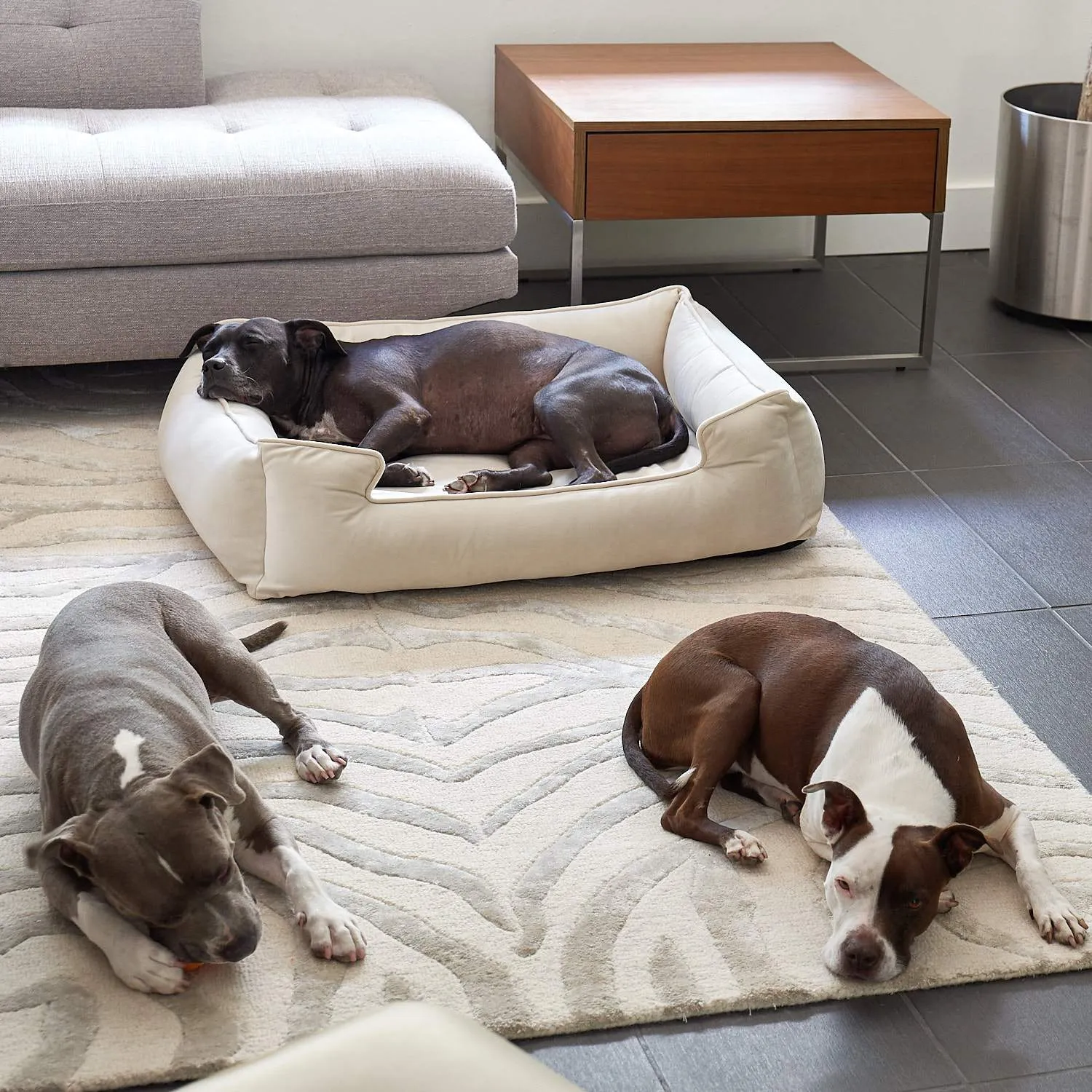 Ali Jewel Ortho Lounger® Companion-Pedic® Luxury Dog Bed