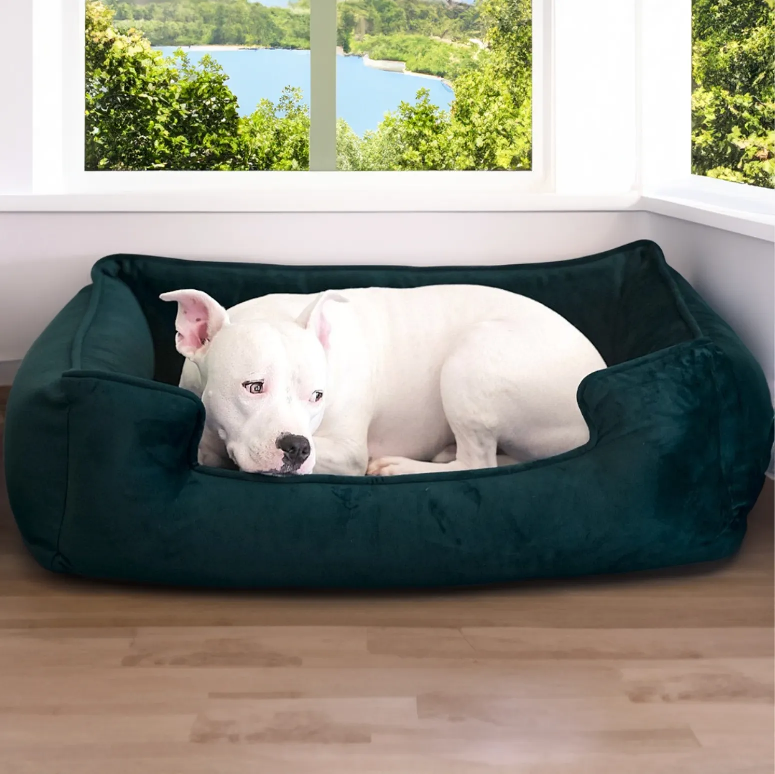 Ali Jewel Ortho Lounger® Companion-Pedic® Luxury Dog Bed
