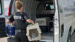 Animal Emergency Response Care