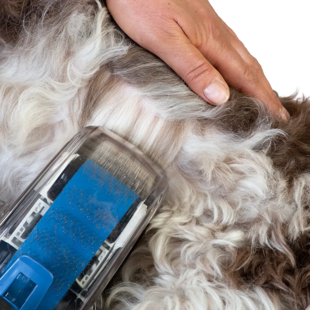 Auto Dog Brush Petite Complete Set Including Hose