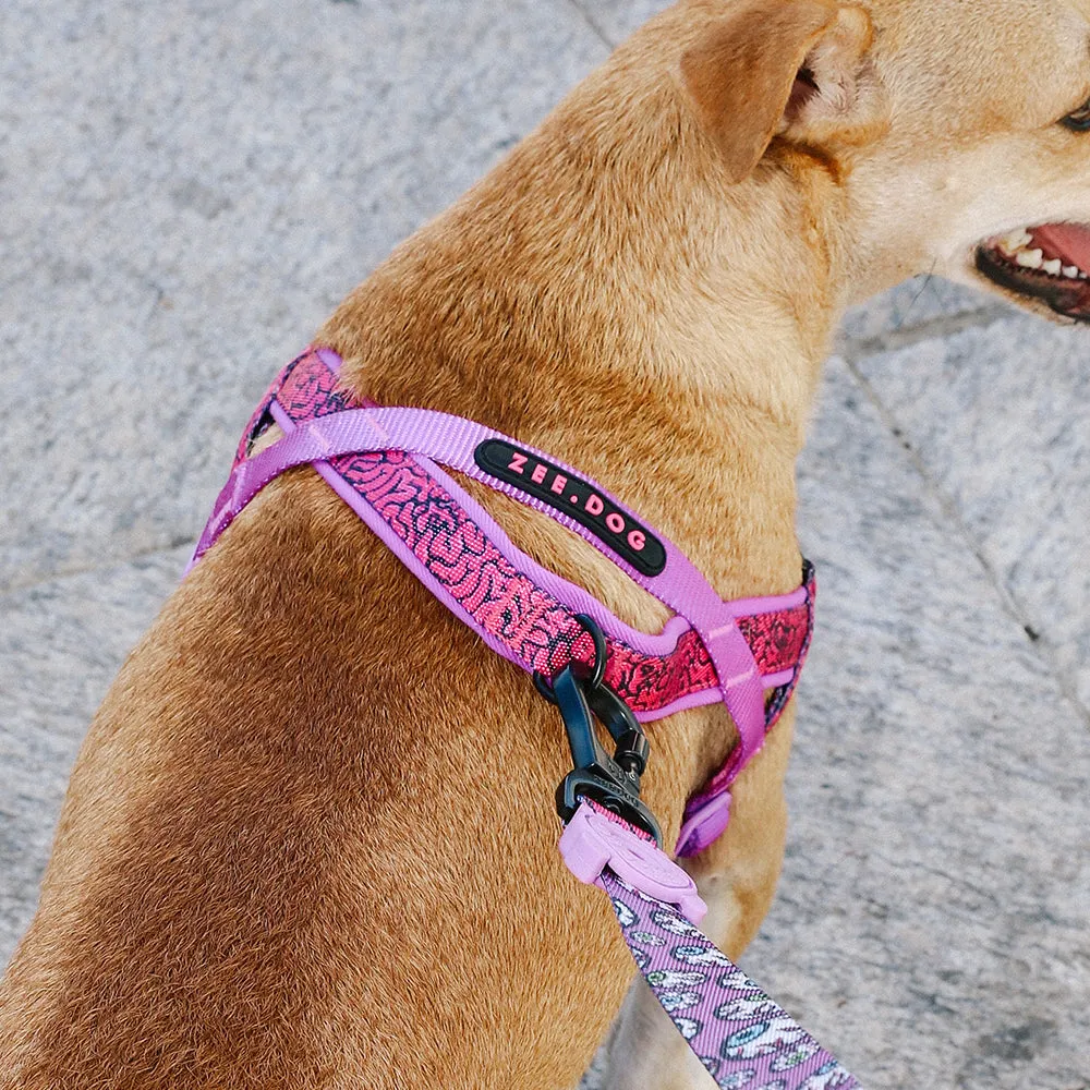 Brain | SofterWalk Harness