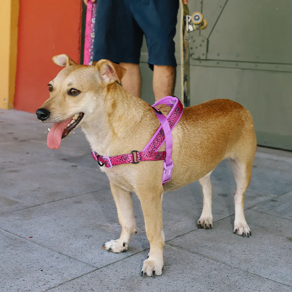 Brain | SofterWalk Harness