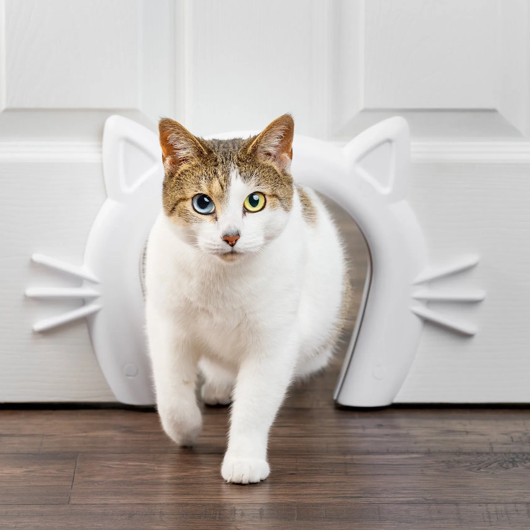 Cat Corridor™ Interior Pet Door