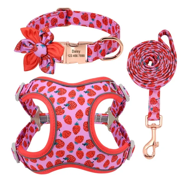 Custom Printed Dog Collar Leash Set