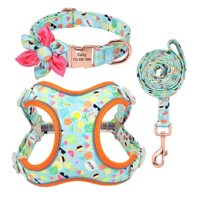 Custom Printed Dog Collar Leash Set