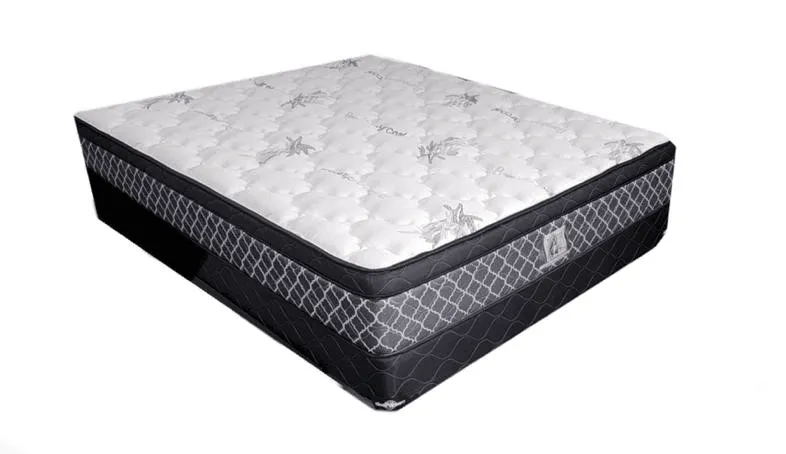 Doctor Firm Orthopedic Euro Top Mattress