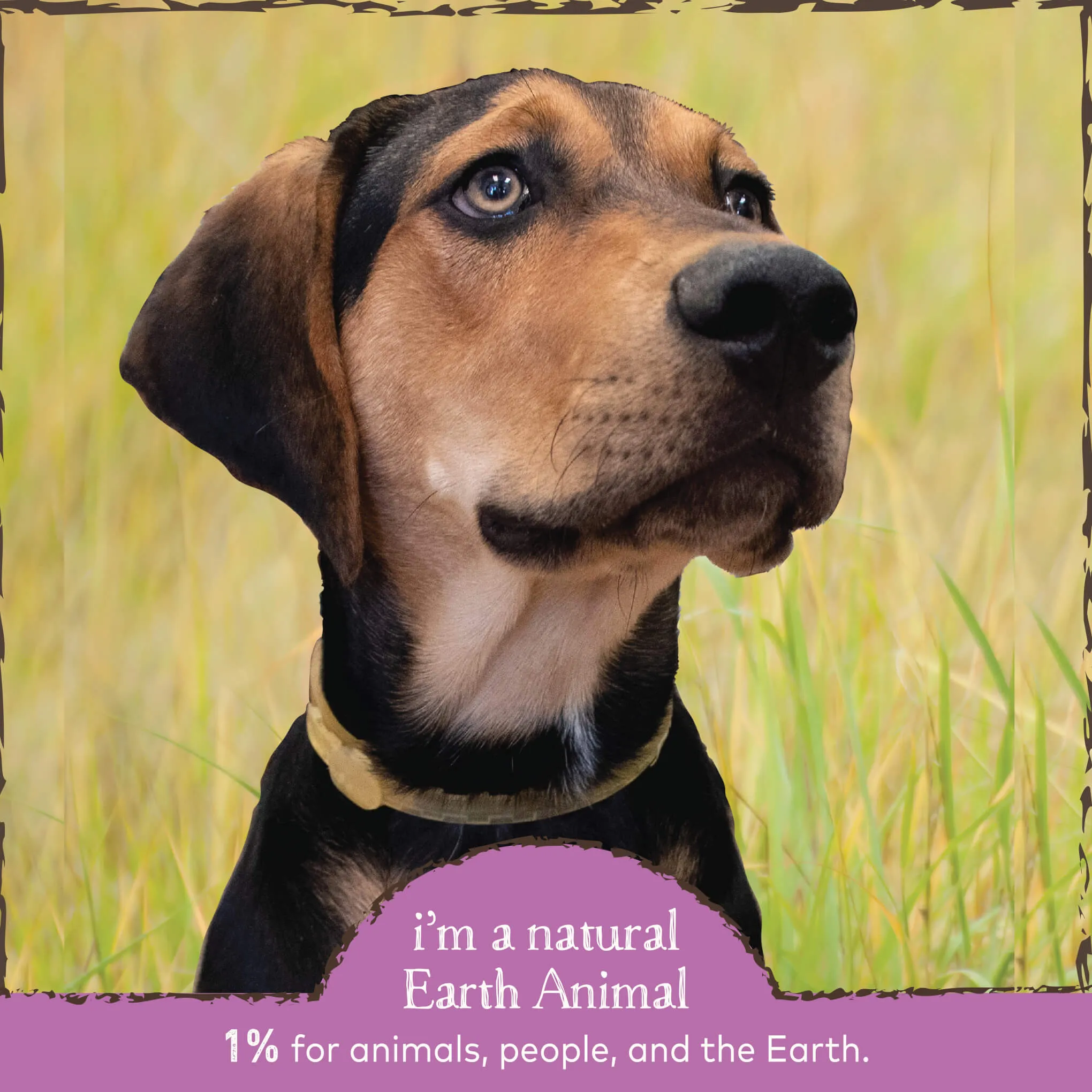 Earth Animal Nature's Protection Daily Internal Powder for Dogs & Cats