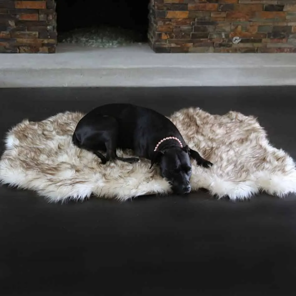 Faux Fur Ortho Shag Rug™Companion-Pedic® Luxury Dog Bed