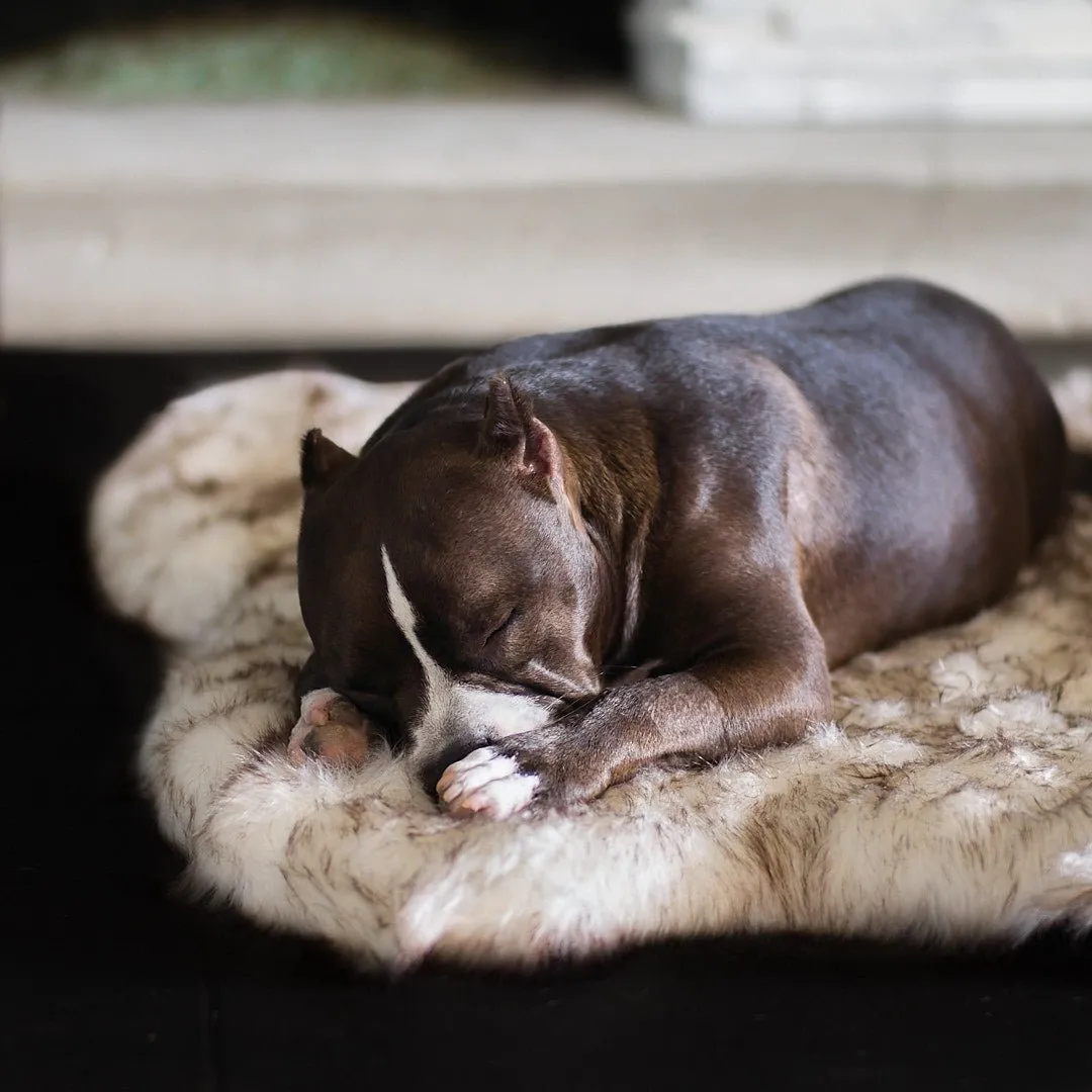Faux Fur Ortho Shag Rug™Companion-Pedic® Luxury Dog Bed