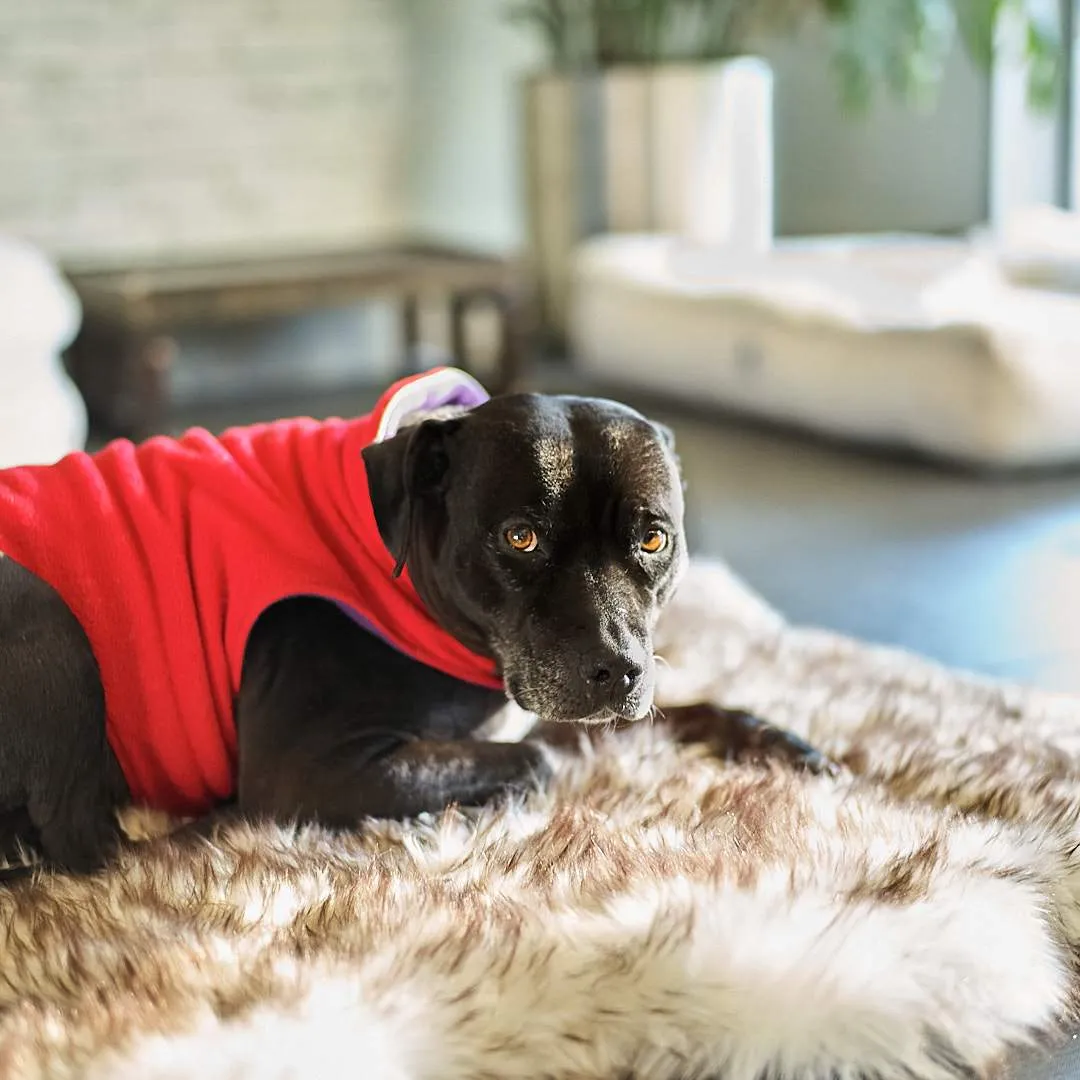 Faux Fur Ortho Shag Rug™Companion-Pedic® Luxury Dog Bed