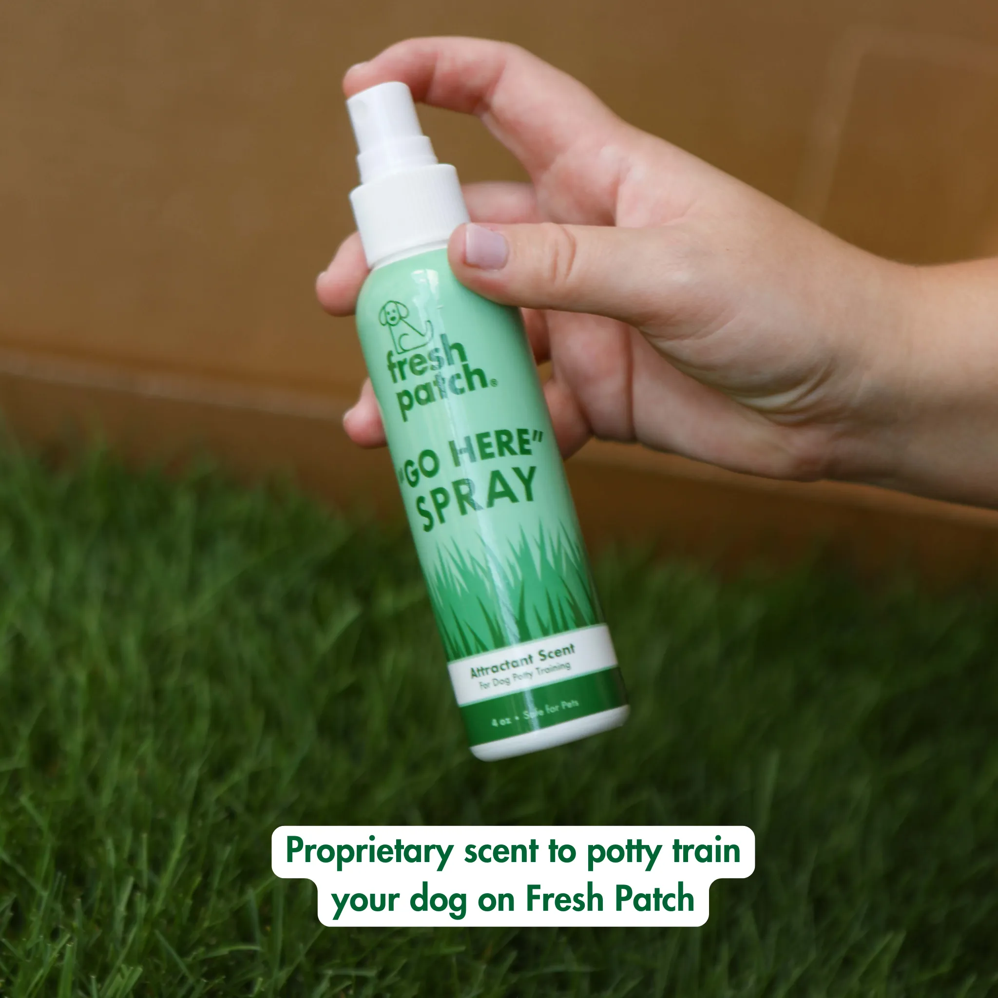 GO HERE Dog Potty Spray