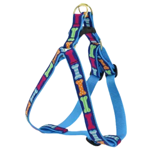 Harness | Big Bones