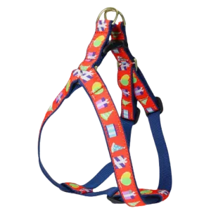 Harness | Birthday Gift