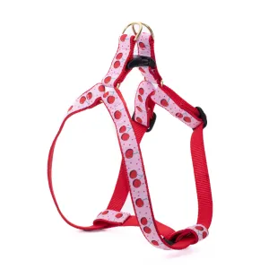 Harness | Cherries
