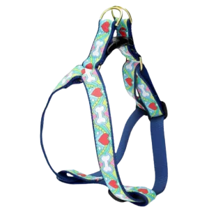 Harness | Coloring Book
