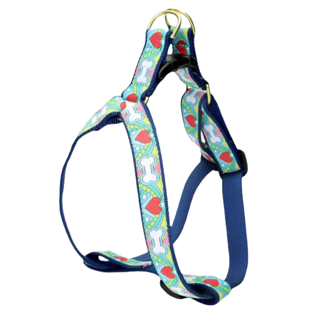 Harness | Coloring Book