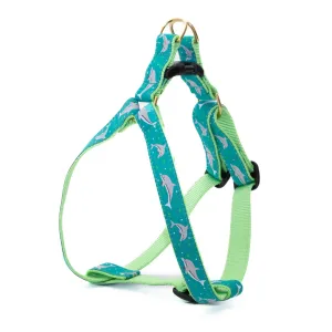 Harness | Dolphins