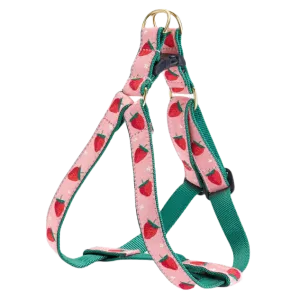 Harness | Strawberry Fields