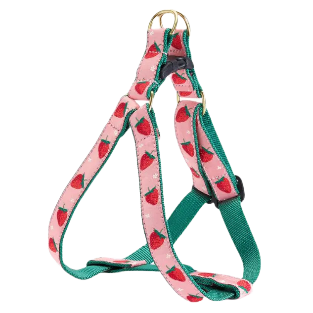Harness | Strawberry Fields