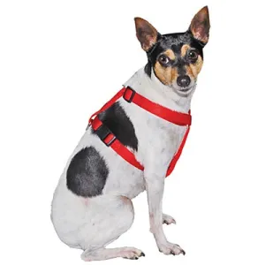 Jeffers Adjustable Nylon Dog Harness, 3/8" x 8-14"