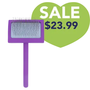 Medium Curved Purple Dematting Brush by PetStore.Direct