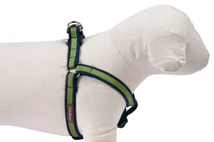 Navy/Green Stripe  Dog Harness - 306