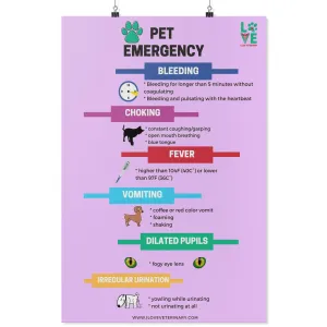 Pet Emergency Poster