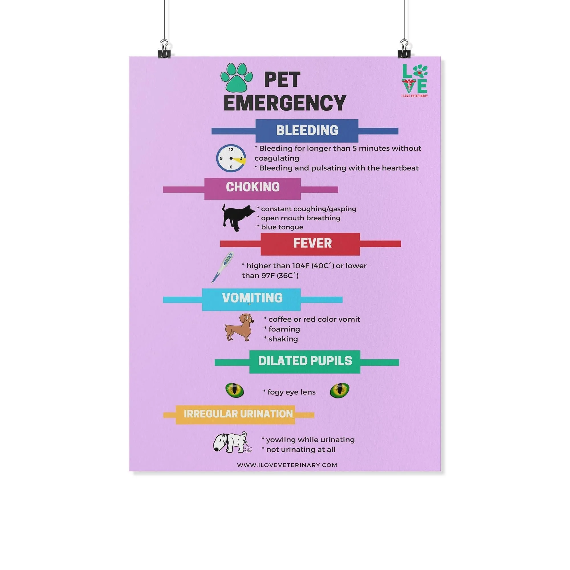 Pet Emergency Poster