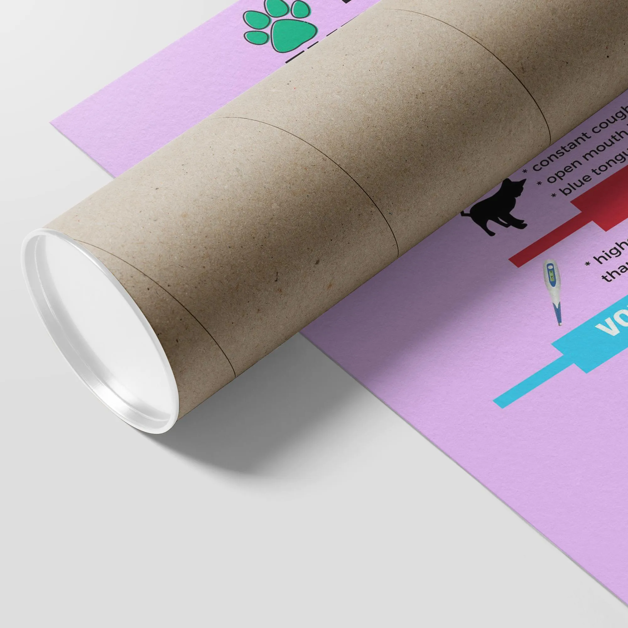 Pet Emergency Poster