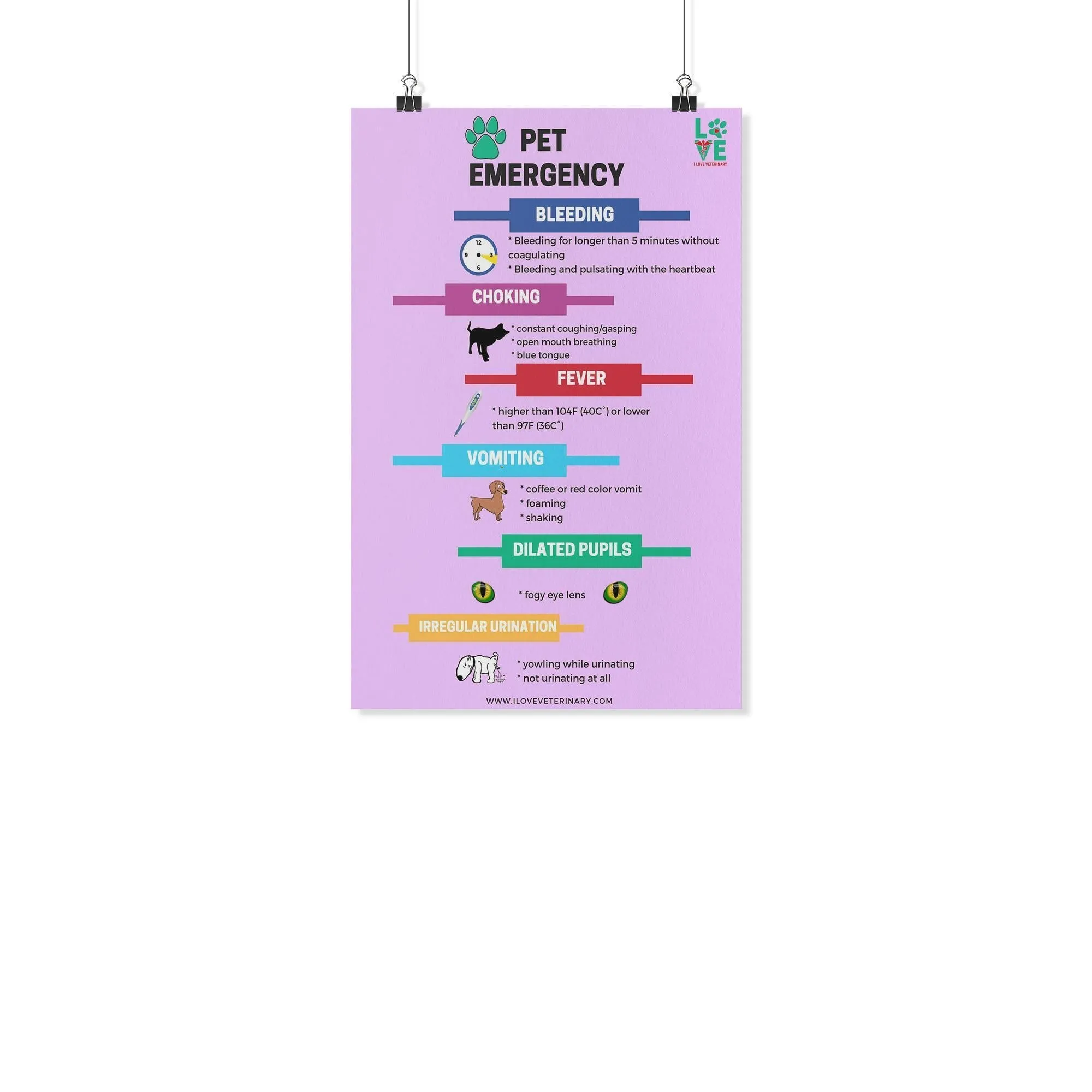 Pet Emergency Poster