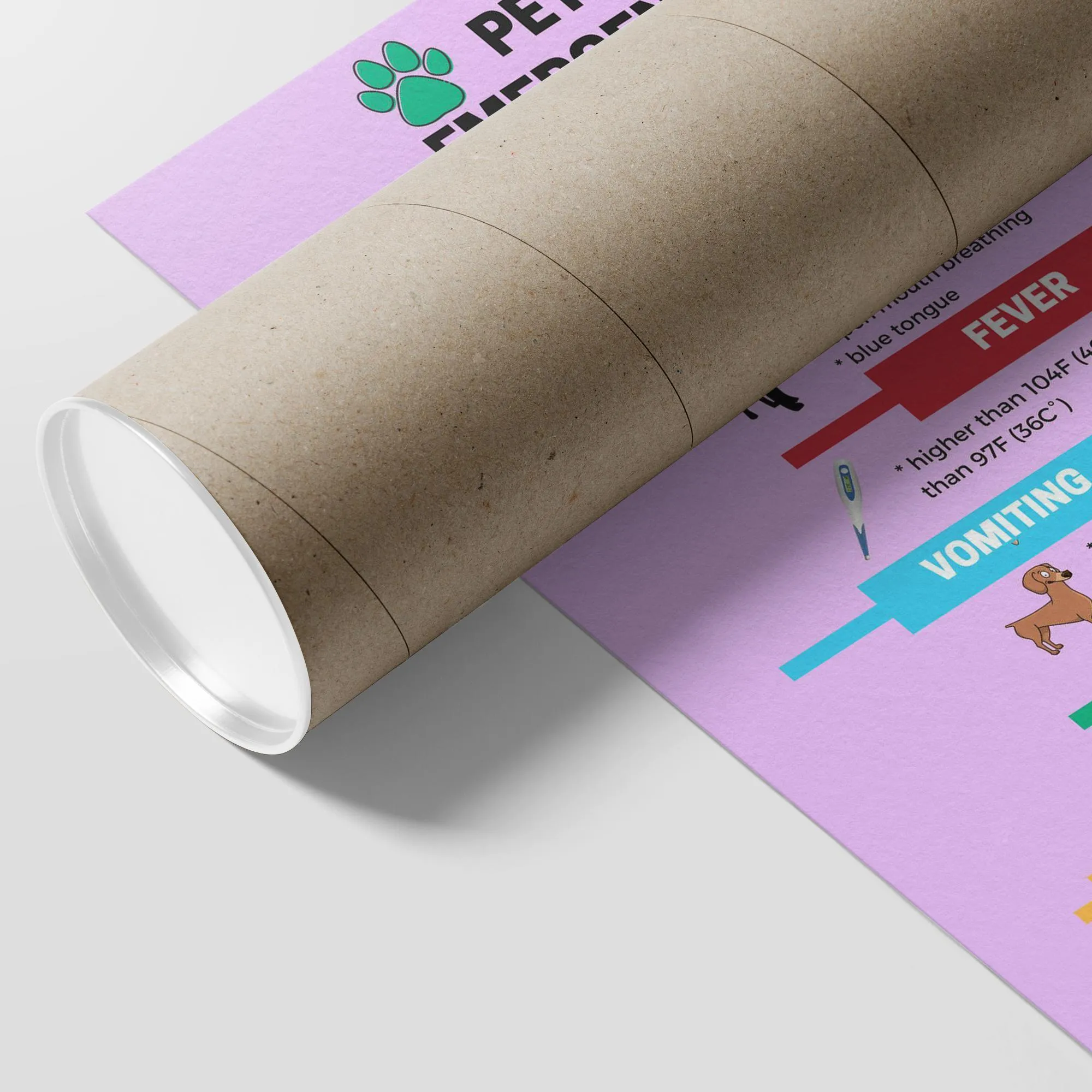 Pet Emergency Poster