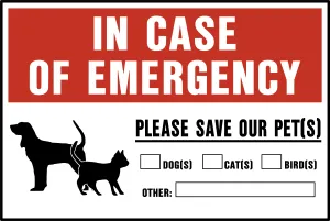 Pet Safety-C