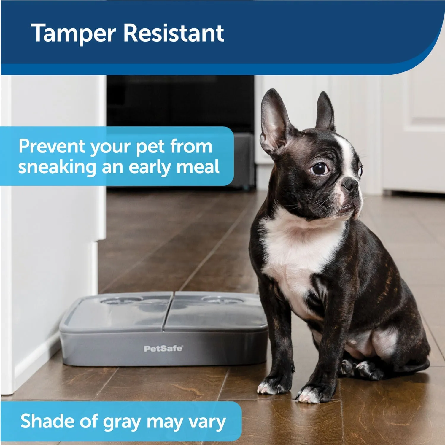 PetSafe Automatic 2 Meal Pet Feeder