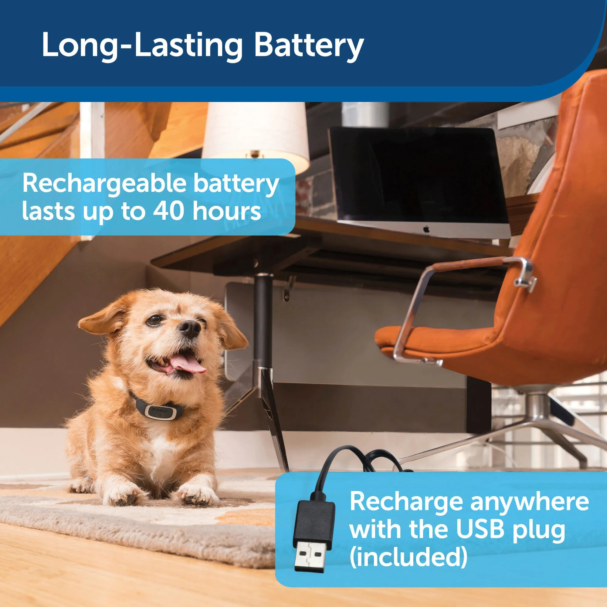 PetSafe Lite Rechargeable Bark Collar
