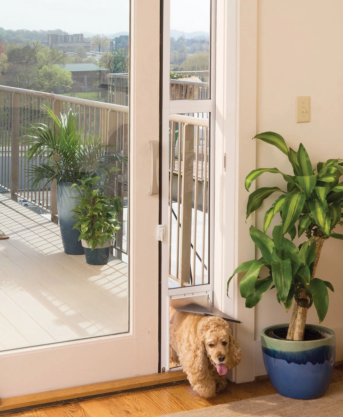 PetSafe Sliding Glass Pet Door