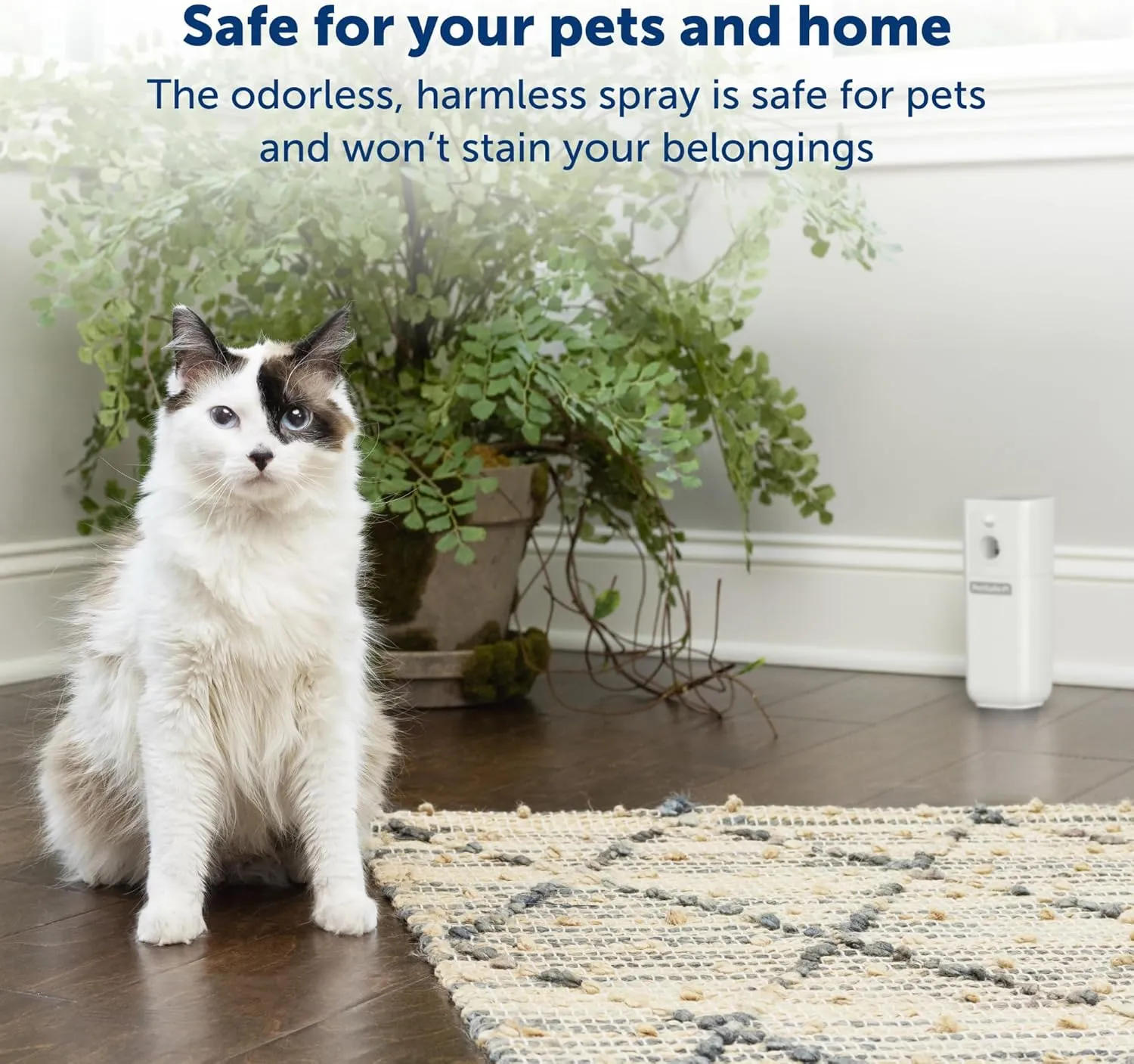 PetSafe SSSCAT Automatic Spray Pet Deterrent Unscented 4.72oz SALE