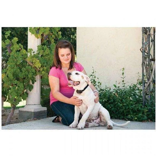 Petsafe Vibration Bark Control Collar