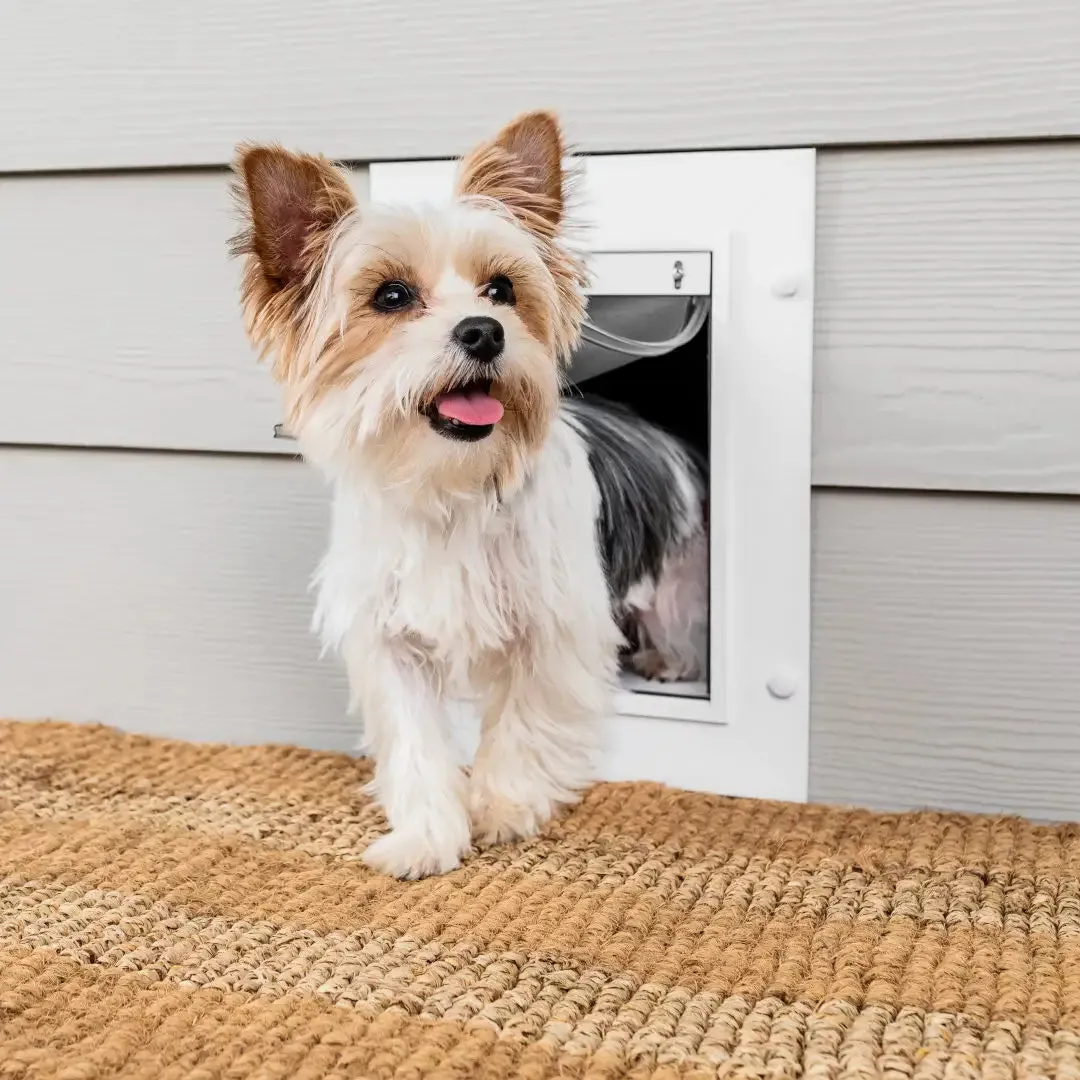 Petsafe Wall Entry Pet Door Small Dog
