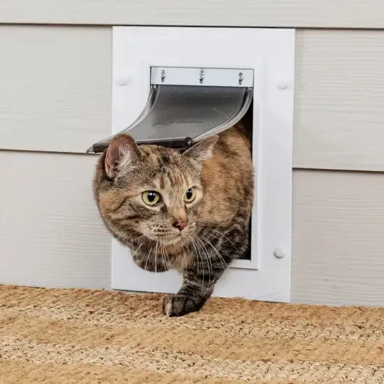 Petsafe Wall Entry Pet Door Small Dog