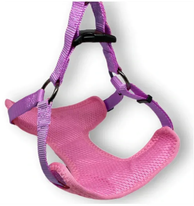 Playful Pawple Harness