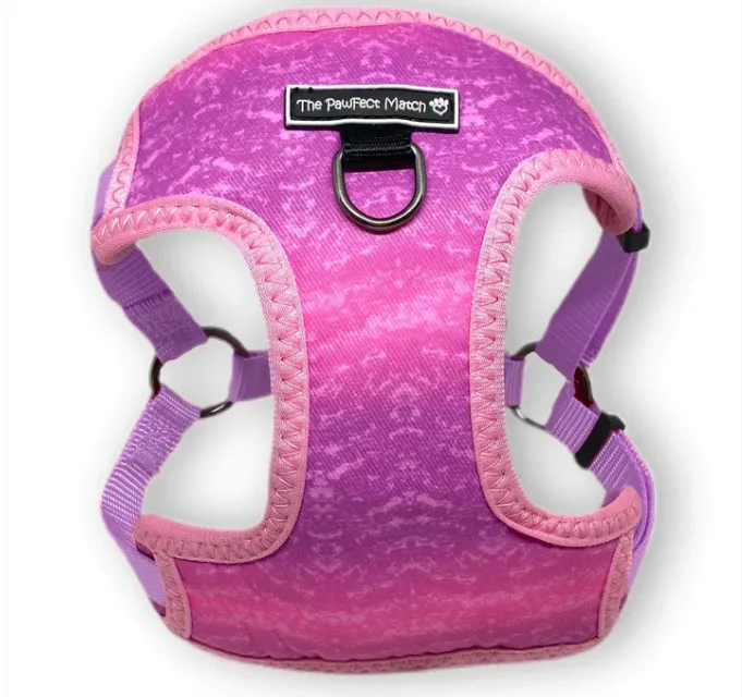 Playful Pawple Harness