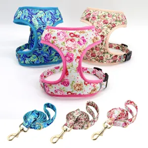 Printed Dog Harness Leash Set | Soft Mesh | Adjustable Walking Lead
